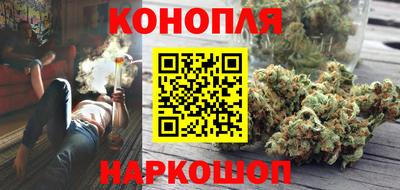 сатива Ставрополь
