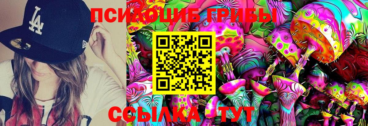 Галлюциногенные грибы Psilocybe  Вход с VPN  Омск  Галлюциногенные грибы мицелий 