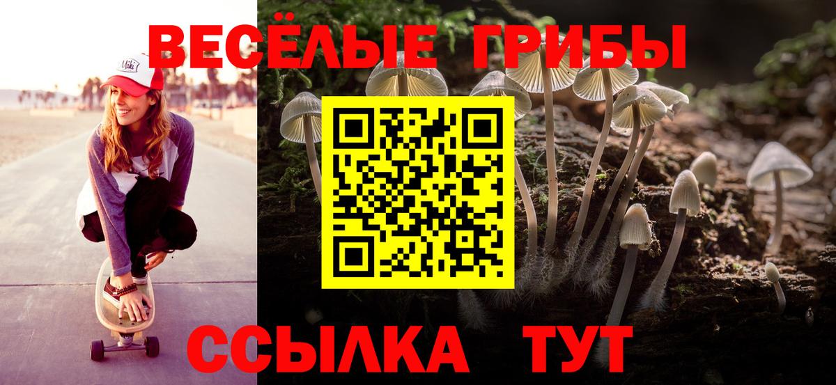 Псилоцибиновые грибы мухоморы Омск